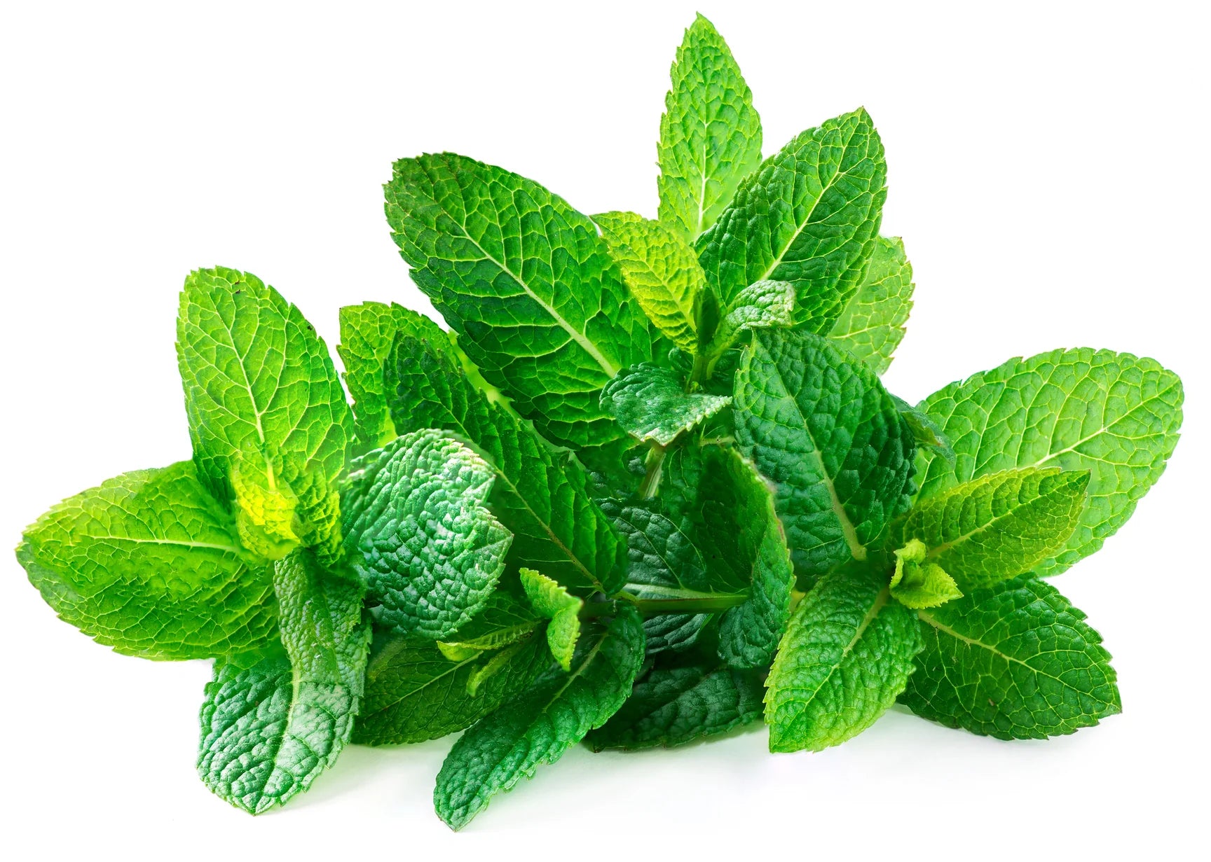 6 Uses For Peppermint Essential Oil